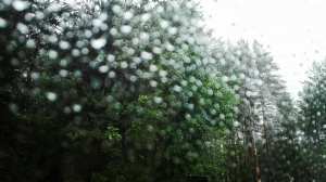 36397341_10156619555073991_8631669484999933952_n