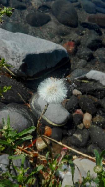 67810137_2635400856484556_7738248538617806848_n