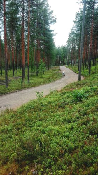 67823328_430066227607868_8995069871960096768_n