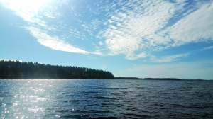 67983223_2365152310237081_8593510229583331328_n