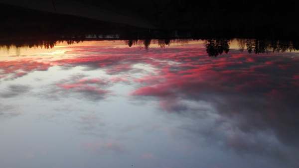 68367742_2475947529300977_989551153509302272_n