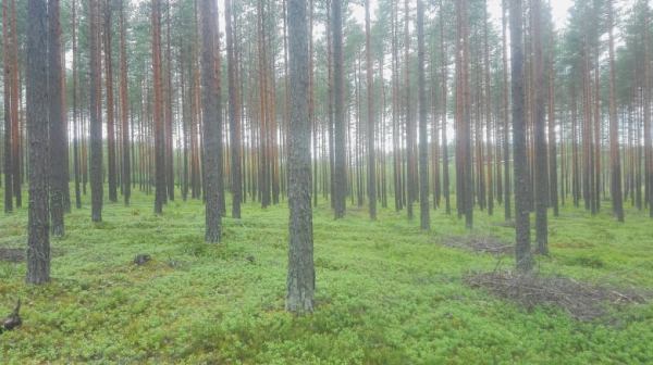 68518221_2449767378434422_8728632241472667648_n