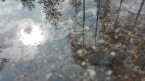 68950816_727126044383325_3640642918378635264_n