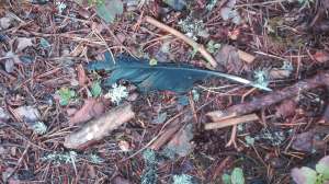 69008726_953684788299709_8596887607181312000_n