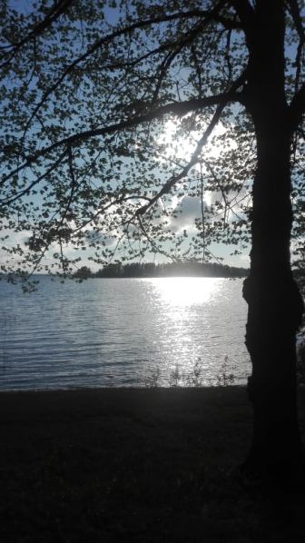 69109137_451612962353050_3511866759323844608_n