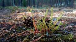 69205651_437537193528238_5820648793183354880_n