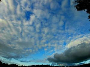 72134815_442736799691642_8660188269708836864_n